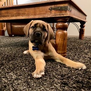 Meet your Posher, Jenna